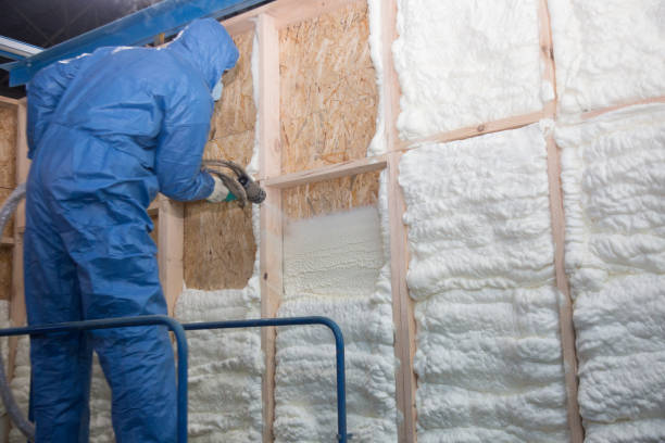 Best Commercial Insulation Services  in Bessemer, MI